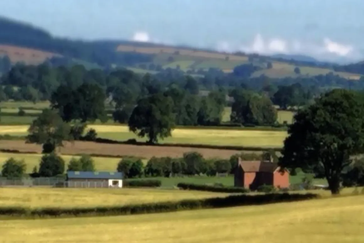 The farm and kennels